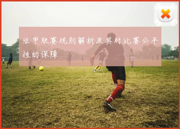 法甲联赛规则解析及其对比赛公平性的保障