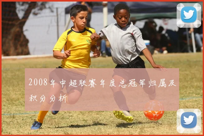 2008年中超联赛年度总冠军归属及积分分析