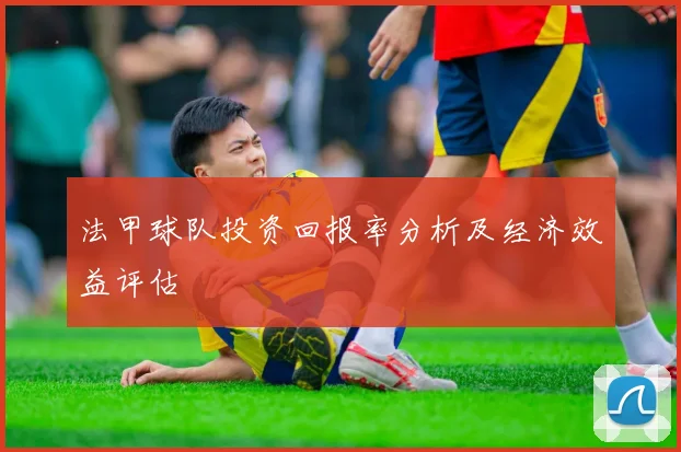 法甲球队投资回报率分析及经济效益评估