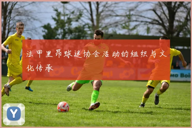 法甲里昂球迷协会活动的组织与文化传承