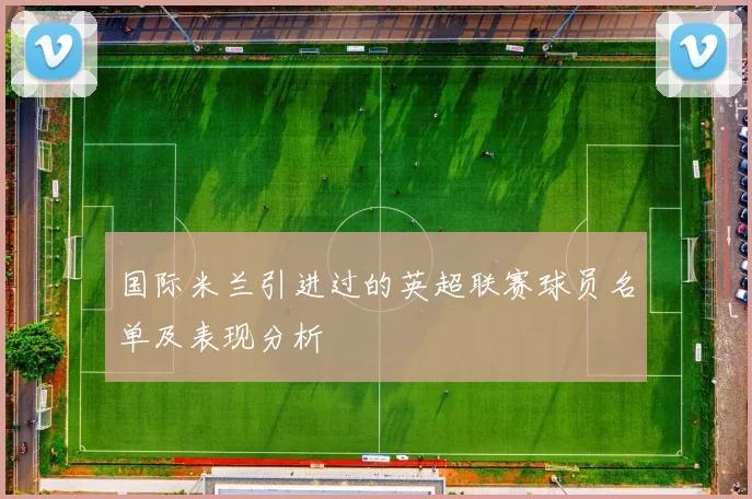 国际米兰引进过的英超联赛球员名单及表现分析