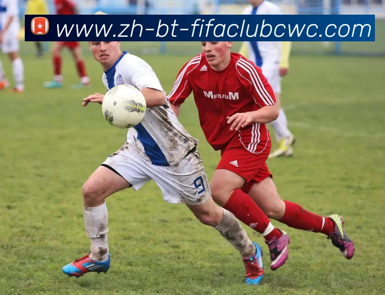 多媒体互动体验