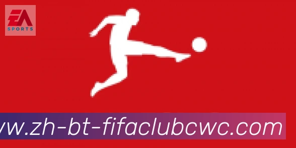 世界杯平台合作伙伴