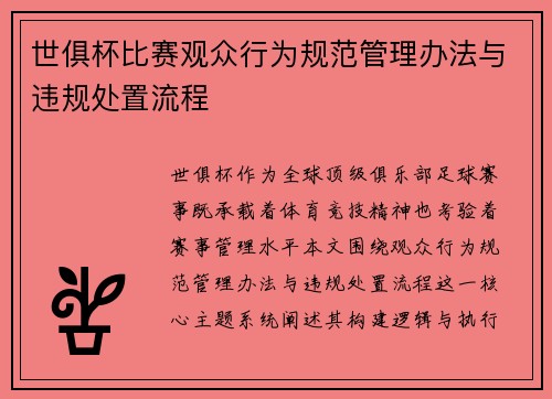 世俱杯比赛观众行为规范管理办法与违规处置流程